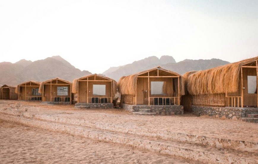 Sinai Life Beach Camp